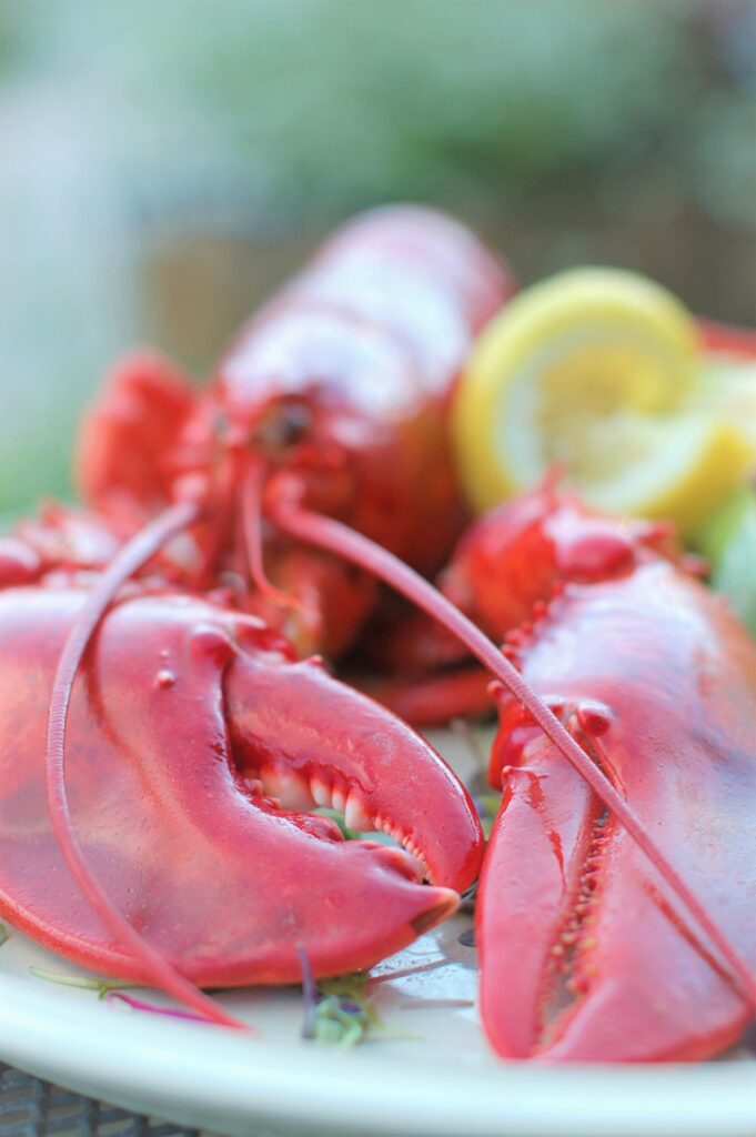 Join us for a Special Lobster Night at Hogan's Pub this Saturday