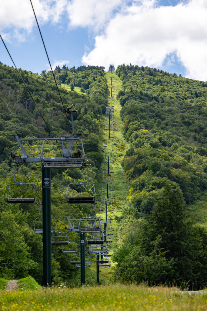 Sugarbush Across the Seasons: From Green to Gold
