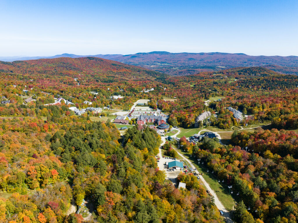 Sugarbush Across the Seasons: From Green to Gold
