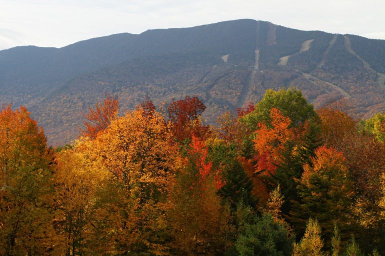 Fall scenic