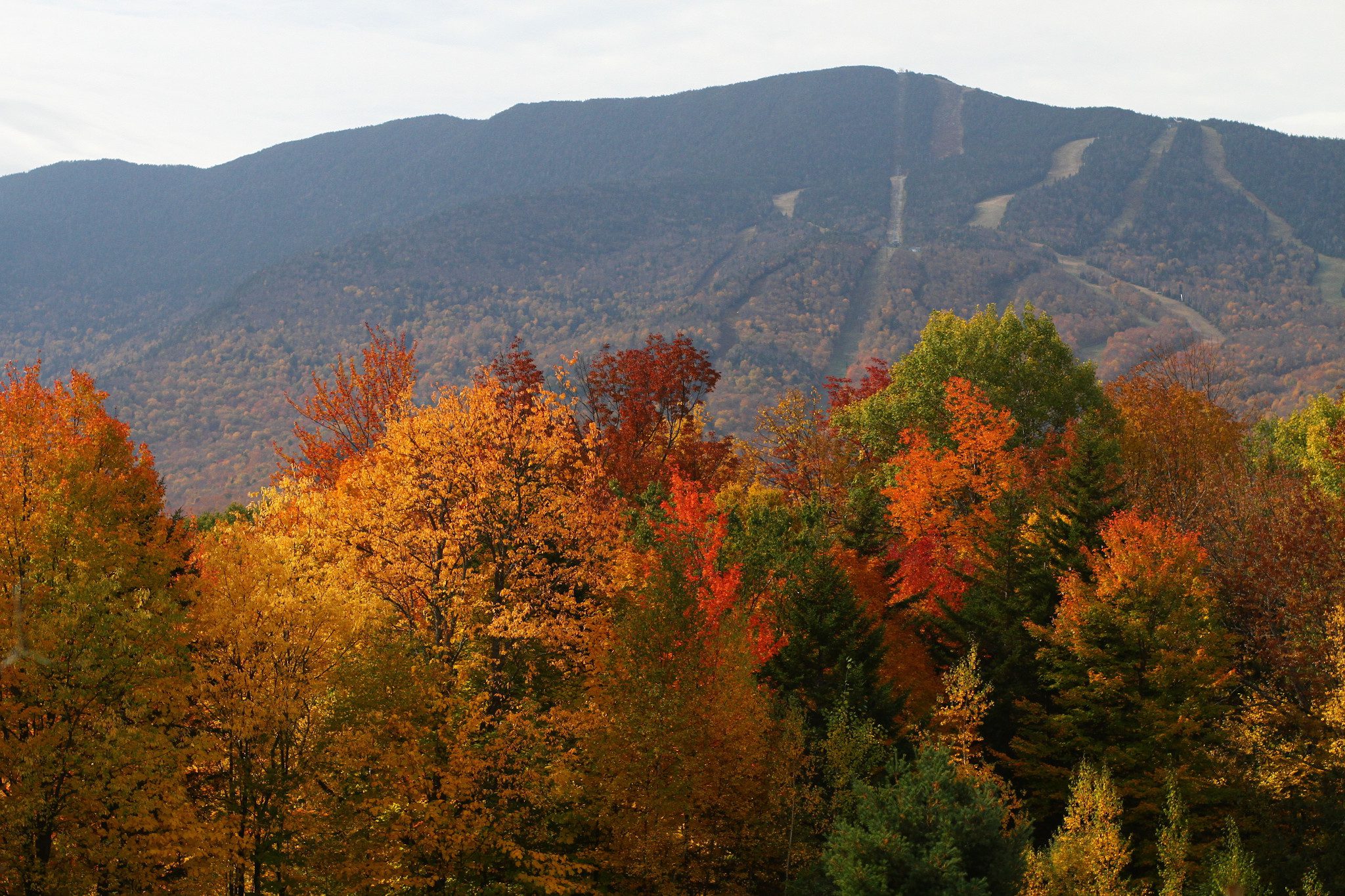 Fall scenic