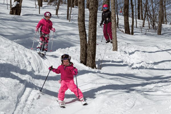 Skiing through the trees