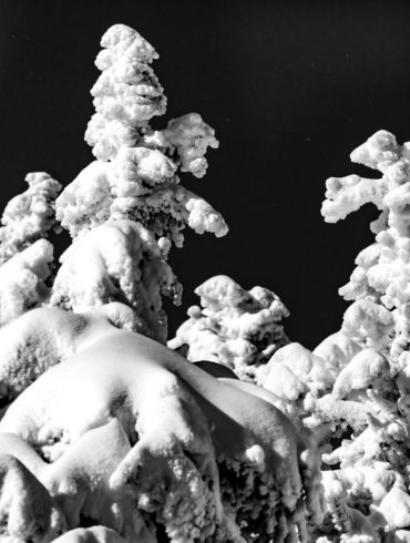 Black and white snow coverage