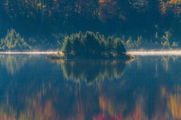 Blueberry Lake of Dreams