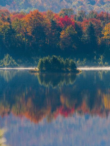 Blueberry Lake of Dreams