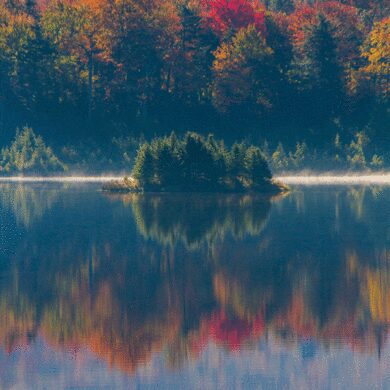 Blueberry Lake of Dreams