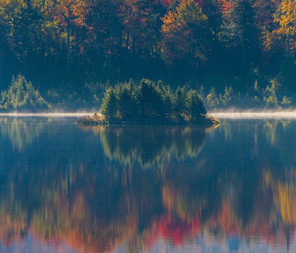 Blueberry Lake of Dreams