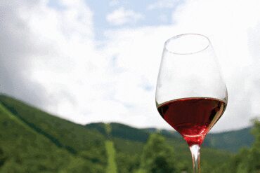 for the love of wine