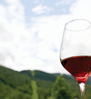 for the love of wine