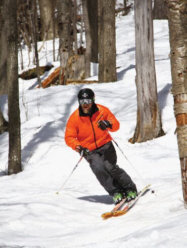 Welcome to the woods