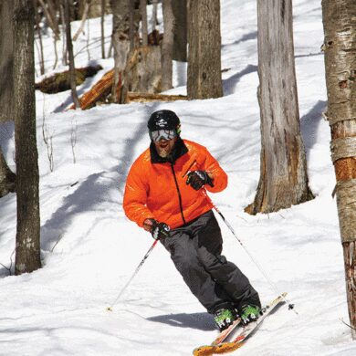 Welcome to the woods